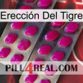 Erección Del Tigre 10